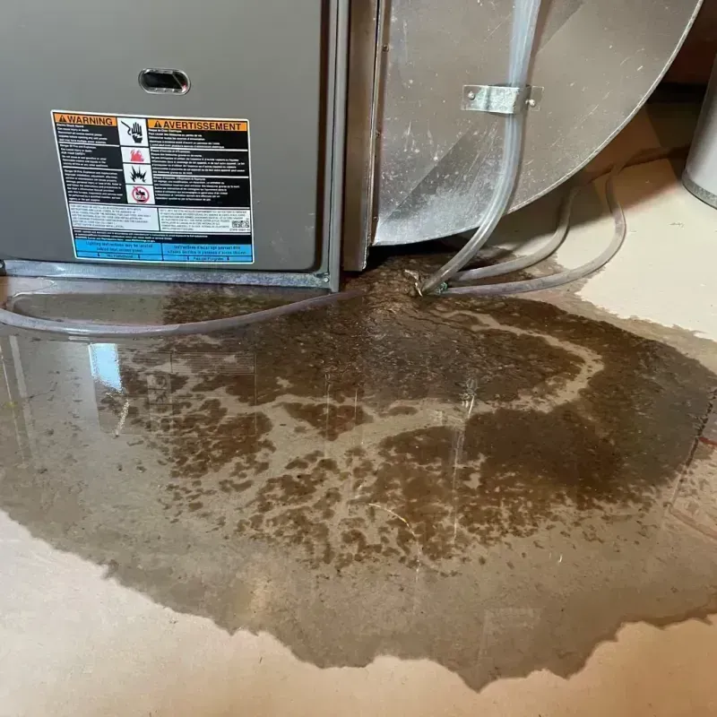 Appliance Leak Cleanup in Odin, IL